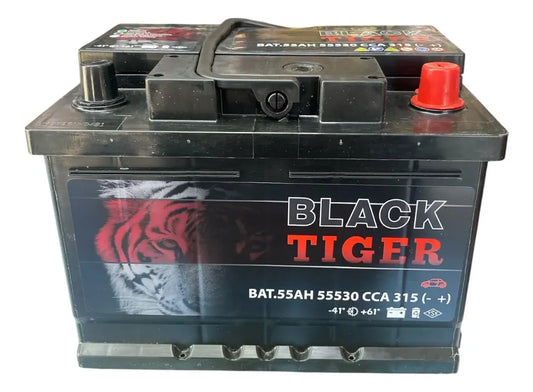 Bateria Hankook 55ah 315cca Kia Hyundai Peugeot
